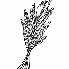 すすきの塗り絵