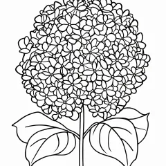 あじさいの塗り絵（簡単）