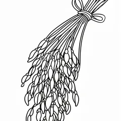 稲穂の塗り絵